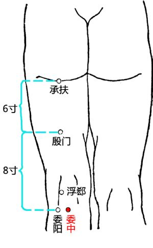 覃中穴位|郄中